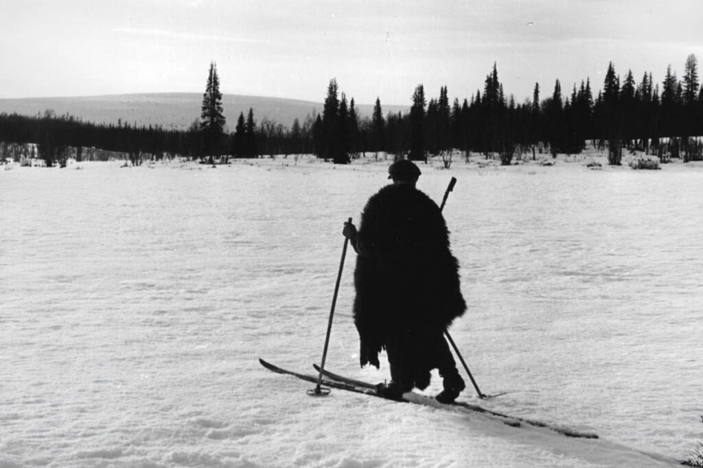 Metsästäjä Onni Mukkala Savukoskelta hiihtää karhunnahka olallaan. Kuvaaja: Tauno V. Mäki, 1949. Kuva: Suomen Erä- ja metsästysmuseo.